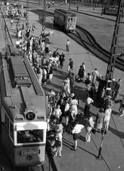 Hungary, Budapest II., Széll Kálmán (Moszkva) tér., 1954, Hegyvidéki Helytörténeti Gyűjtemény, genre painting, tram, tram stop, destination sign, Stuka tramway, Budapest, public transport line number, Fortepan #70344