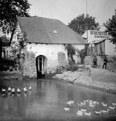 Magyarország, Óbuda, Budapest III., a Római-fürdő egyik patakja, az un. Krempl-malomárok, szemben a Schuszter-malom., 1901, Fortepan, nyugalom, falu, tó, cégtábla, kacsa, baromfi, malom, vízpart, Budapest, Fortepan #7075