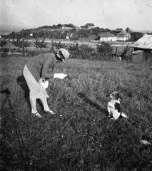 Magyarország, Budapest II., Pusztaszeri út a Muraközi utca irányából nézve., 1934, Lissák Tivadar, kutya, Budapest, kutyasétáltatás, Fortepan #71008