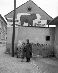 Szlovákia, Kassa, ulica Svätoplukova (Eszterházi János utca)., 1939, Lissák Tivadar, reklám, hentes, hentesüzlet, Fortepan #71256