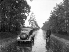 1939, Lissák Tivadar, Steyr-márka, automobil, rendszám, Steyr 100/200, országjelzés, Fortepan #71271