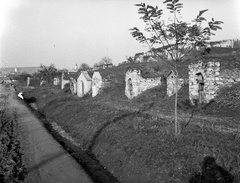 Magyarország, Abaújszántó, pincesor a város déli határában, a Béke út mellett., 1939, Lissák Tivadar, borospince, Fortepan #71308