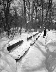 Hungary, Városmajor, Budapest XII., háttérben az Ignotus (Klára) utca házai., 1940, Lissák Tivadar, winter, snow, bench, Budapest, Fortepan #71351