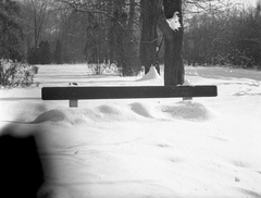 Hungary, Városmajor, Budapest XII., 1940, Lissák Tivadar, winter, snow, bench, Budapest, Fortepan #71352