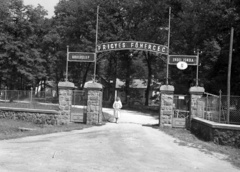 Magyarország, Farkasgyepű, Frigyes főherceg üdülőtelep és erdei iskola (később a Veszprém Megyei Tüdőgyógyintézet szanatóriuma)., 1942, Lissák Tivadar, iskola, felirat, kapu, ápolónő, üdülőhely, címer, erdei iskola, Fortepan #71895