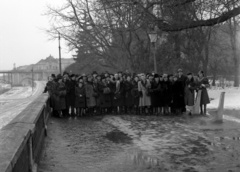 Hungary, Szeged, Stefánia, a Budapesti Kórus tagjai. Háttérben, balra a közúti híd., 1943, Lissák Tivadar, bridge, tableau, choir, Gustave Eiffel-design, János Feketeházy-design, Fortepan #72049