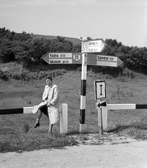 Magyarország, a 26-os (ekkor 23-as) főút elágazása Sajóvelezd felé, Dubicsány és Vadna között., 1943, Lissák Tivadar, útjelző tábla, kerítés, Fortepan #72221