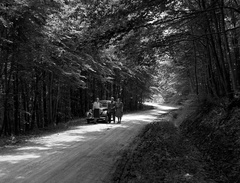 1943, Lissák Tivadar, erdő, német gyártmány, DKW-márka, automobil, út, DKW F5/F7/F8, Best of, Fortepan #72243