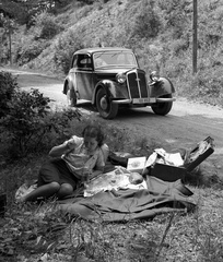 Magyarország, Mátra., 1943, Lissák Tivadar, német gyártmány, DKW-márka, bőrönd, piknik, automobil, rendszám, DKW F5/F7/F8, könyökölni, Fortepan #72249