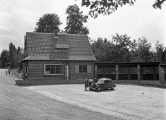 Magyarország, Mátraháza, autóbusz-állomás., 1943, Lissák Tivadar, német gyártmány, DKW-márka, MÁVAUT-szervezet, buszmegálló, automobil, DKW F5/F7/F8, autóbuszállomás, Fortepan #72251