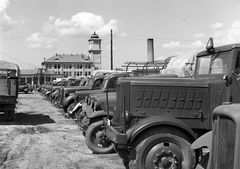 Magyarország, Budapest XVI., Mátyásföld, Újszász utca 41-43. (Keresztúri út 1-3.), a Magyar Királyi Honvéd gépkocsiszertár udvara, Ford és Hanomag típusú teherautók., 1943, Lissák Tivadar, német gyártmány, magyar gyártmány, harckocsi, teherautó, katonaság, Ford-márka, Weiss Manfréd-márka, licenc, Hanomag-márka, 39M Ford-Marmon-Herrington, Ford G917T, Marmon-Herrington-márka, Hanomag SS-100 Gigant, Budapest, Fortepan #72258