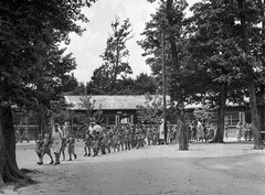 Magyarország, Farkasgyepű, Frigyes főherceg üdülőtelep és erdei iskola (később a Veszprém Megyei Tüdőgyógyintézet szanatóriuma)., 1943, Lissák Tivadar, csoportosulás, erdei iskola, Fortepan #72364