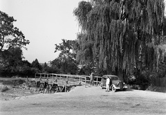 Magyarország, Ford V8 Modell 48, 1935-ös kiadású személygépkocsi., 1943, Lissák Tivadar, híd, amerikai gyártmány, Ford-márka, fahíd, automobil, Ford V8, Fortepan #72467