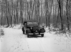 1943, Lissák Tivadar, hó, német gyártmány, DKW-márka, automobil, DKW F5/F7/F8, Fortepan #72637