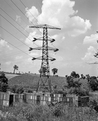 Hungary, 1944, Lissák Tivadar, apiary, power line, Fortepan #72801