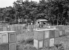 Hungary, 1944, Lissák Tivadar, apiary, Fortepan #72805