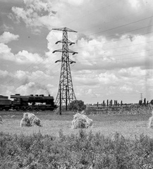 Magyarország, Budapest XVII., Rákoskeresztúr, Gödöllői vasútvonal a Pesti út 512. és 513. utca közötti szakasza felől nézve., 1944, Lissák Tivadar, gőzmozdony, vasút, kazal, távvezeték, Budapest, Fortepan #72806