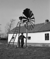 1946, Lissák Tivadar, ladder, grinder, windmill, wind turbine, Fortepan #72989