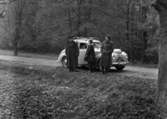 1947, Lissák Tivadar, erdő, csehszlovák gyártmány, Skoda-márka, automobil, Skoda 1101/1102 Tudor, Fortepan #73071