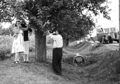 1955, Pálfi Balázs, women, Rába-brand, summer, man, mulberry tree, Fortepan #73488