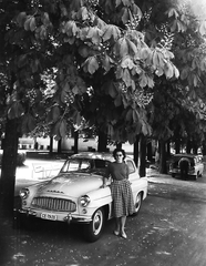 Magyarország, Baja, a Szent Rókus Kórház udvara., 1965, Márton Gábor, csehszlovák gyártmány, gyógyintézmény, Skoda-márka, nő, automobil, Skoda Octavia, lányok-járművek, Fortepan #73586