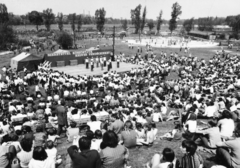 Magyarország, Budapest III., Óbudai-sziget, Május 9. park., 1970, Stipkovits Fülöp, Budapest, Fortepan #74131