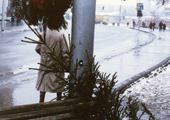 Románia,Erdély, Marosvásárhely, Gyözelem tér (Piața Victoriei). Romániai forradalom., 1989, Várhelyi Iván, színes, karácsonyfa, utcakép, román forradalom, rendszerváltás, Fortepan #74135