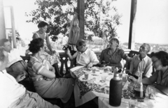 Hungary,Lake Balaton, Badacsonytomaj, Nagy Imre miniszterelnök látogatása a Zabó családnál 1956 nyarán., 1956, Jánosi Katalin, celebrity, prime minister, politician, Fortepan #74228