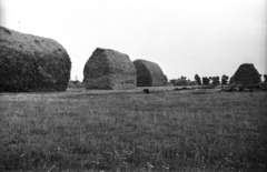 1940, Rosta László, mezőgazdaság, kazal, Fortepan #74290