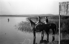 Magyarország, Velencei-tó, Agárd, 1944, Rosta László, ló, csónak, nádas, Fortepan #74296