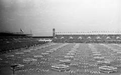 Csehország, Prága, Strahov stadion, szpartakiád., 1965, Romák Éva, Csehszlovákia, zászló, stadion, zászlórúd, tömegsport, Alois Dryák-terv, Fortepan #74371