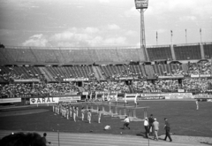 Austria, Vienna, Práter (később Ernst Happel) stadion. A IV. World Gymnaestrada megnyitója 1965. július 20-án., 1965, Romák Éva, stadium, mass games, Fortepan #74379