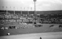 Austria, Vienna, Práter (később Ernst Happel) stadion. A IV. World Gymnaestrada megnyitója 1965. július 20-án., 1965, Romák Éva, stadium, mass games, Fortepan #74380