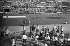 Austria, Vienna, Práter (később Ernst Happel) stadion. A IV. World Gymnaestrada megnyitója 1965. július 20-án., 1965, Romák Éva, stadium, mass games, Fortepan #74381