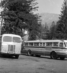 Szlovákia,Magas-Tátra, Ótátrafüred, 1954, Romák Éva, Csehszlovákia, erdő, autóbusz, magyar gyártmány, Skoda-márka, Ikarus-márka, Ikarus 55, Tátra hegység, Fortepan #74898