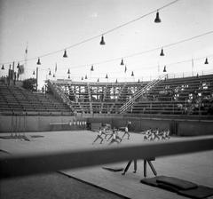 Magyarország, Budapest XIV., Istvánmezei út, a Kisstadion építése., 1960, Romák Éva, stadion, Budapest, Fortepan #75043