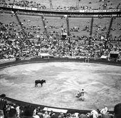 Mexikó, Mexikóváros, Monumental bikaviadal aréna., 1968, Romák Éva, torreádor, bikaviadal, Fortepan #75057