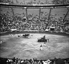 Mexikó, Mexikóváros, Monumental bikaviadal aréna., 1968, Romák Éva, bikaviadal, Fortepan #75059