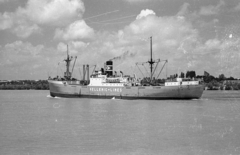 Ukrajna, Reni, Belgion teherhajó., 1964, Drobni Nándor, Droppa Kálmán, hajó, folyó, víztükör, folyópart, vízpart, teherhajó, Hellenic Lines-szervezet, Belgion-hajó, Fortepan #75220