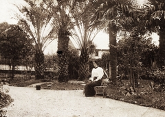 1910, Rosta László, garden, palm tree, Fortepan #75314