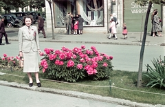 Magyarország, Gyöngyös, Fő (Hanisz) tér., 1939, Fortepan, portré, színes, park, utcakép, nő, automobil, rózsa, Fortepan #75503