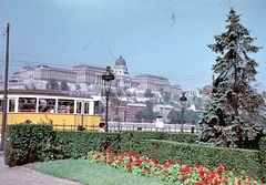 Magyarország, Budapest V., Vigadó tér, szemben a Budavári Palota (korábban Királyi Palota)., 1973, Kristek Pál, színes, villamos, Ganz-márka, Ganz CSMG, Budapest, Fortepan #75638