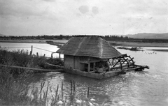 Romania,Transylvania, Năpradea, Szamos-part a falu mellett., 1930, Péchy László, Mill, ship mill, Fortepan #75810