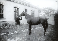 Ausztria, Mödling, Császári és Királyi Katonai Műszaki Főiskola (később HTL Mödling néven főiskola)., 1915, Péchy László, első világháború, ló, kadét, katonai akadémia, Fortepan #75932