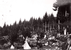 Ukraine,Zakarpattia Oblast, Yasinia, tábor a település közelében, a Hryhoriwka-hegyen., 1917, Péchy László, First World War, tent, Fortepan #76012