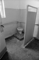 Hungary, Veszprém, Jutasi úti elhagyott szovjet katonai bázis., 1990, Erdei Katalin, barrack, toilet bowl, abandoned building, regime change, Fortepan #76165