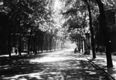 Hungary, Budapest V., Semmelweis utca a Kossuth Lajos utca felé nézve., 1955, PRL, bicycle, sunshine, bus, street view, genre painting, ad pillar, alley, shadow, Budapest, Fortepan #76198