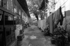 1990, Erdei Katalin, poverty, hanging clothes, watering can, inner courtyard, poverty, Fortepan #76437