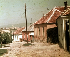 Magyarország, Veszprém, Köd utca, háttérben Dózsaváros városrész házai., 1966, Herth Viktória dr, Bodó Emma, színes, utcakép, villanyoszlop, Fortepan #76508