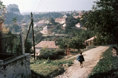 Magyarország, Veszprém, Csutorás utca a Buhim-völgy felé nézve., 1966, Herth Viktória dr, Bodó Emma, színes, utcakép, villanyoszlop, Fortepan #76511